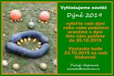 19p0760.jpg